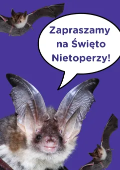 Święto Nietoperzy na Oruni 