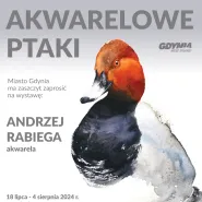 Akwarelowe Ptaki