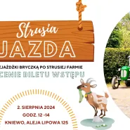 Strusia jazda w Kniewie: przejedź się bryczką po Farmie gratis!