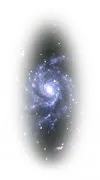 ZODIAC NIGHT