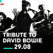 Tribute to David Bowie | Lato na Trawie