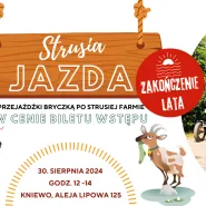 Strusia jazda w Kniewie: zakończenie lata