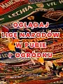 Liga Narodów w pubie i ogródku