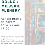 Dolno/Miejskie Plenery - Aukcja