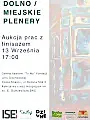 Dolno/Miejskie Plenery - Aukcja