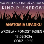 Kino plenerowe przy Stawie Wróbla