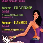 Kalejdoskop / Flamenco