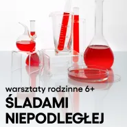Warsztaty rodzinne. Śladami Niepodległej (6+)
