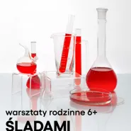 Warsztaty rodzinne. Śladami Niepodległej (6+)