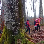 Wędrówka krajoznawcza i ognisko nad meandrami rzeki Łeby