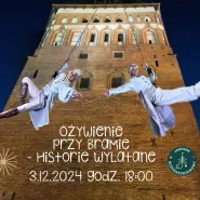 Ożywienie przy Bramie- Historie Wylatane - pokaz ekstremalnej akrobatyki powietrznej.