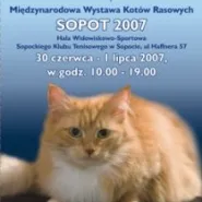 Międzynarodowa Wystawa Kotów Rasowych Sopot 2007