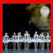 The Royal Ballet: Jezioro łabędzie