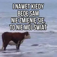 Długość dźwięku samotności (polish nostalgia, guilty 80s/90s) w Gdyni