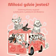 Randka z Promykowymi zwierzakami | "Miłości, gdzie jesteś?"