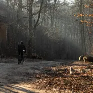 Trening MTBO (Rowerowej Jazdy na Orientację) - Gdynia Źródło Marii - trasy dla każdego