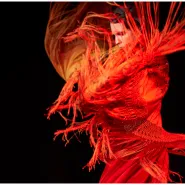Koncert Flamenco