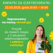 Zamień elektrośmieci na zielone piękno