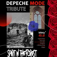 Zlot Fanów Depeche Mode i koncert Spirit in the Forest