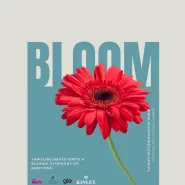 Miasto: Bloom / House Music / DJ Mike G