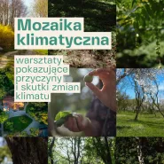 Mozaika klimatyczna | Angażujące warsztaty pokazujące przyczyny i skutki zmiany klimatu