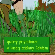 Spacery przyrodnicze w każdej dzielnicy