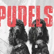 Püdelsi 