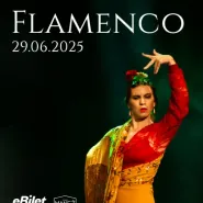Koncert Flamenco - wieczór ognia i emocji