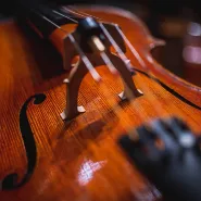 Koncert symfoniczny - Cztery Pory Roku i tango