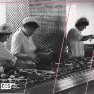 Zapraszamy do Kuchennego Stołu