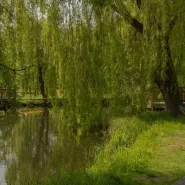 Muzyka niejedno ma imię - koncerty na Oruni