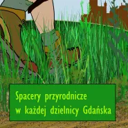 Spacery przyrodnicze w każdej dzielnicy