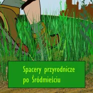 Spacery przyrodnicze po Śródmieściu