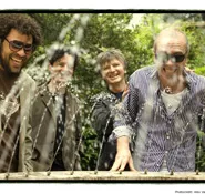 Crowded house