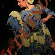 Flamenco - intensywne warsztaty dla początkujących