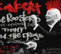 The Roosters Timmy And The Drugs