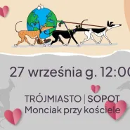 Trójmiejska Chartoterapia - spacer z chartami 