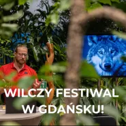 Wilczy festiwal