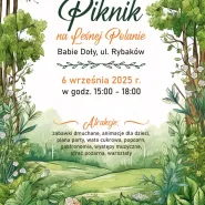 Piknik na Leśnej Polanie na Babich Dołach