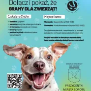 Gramy dla Zwierząt
