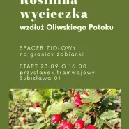 Roślinna wycieczka wzdłóż Oliwskiego Potoku