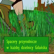 Spacery przyrodnicze w każdej dzielnicy