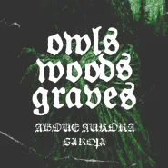 Owls Woods Graves + Above Aurora, Garota