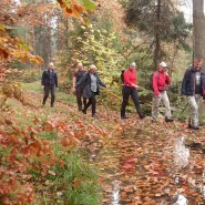 Wędrowny Wtorek nordic walking: śródleśne łąki i torfowiska Osowej