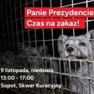 Czas na zakaz hodowli zwierząt na futra!