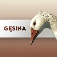 Gęsina w Sztuczce