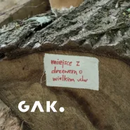 Po miękkim gruncie. Spacer somatyczny przez las i w głąb siebie