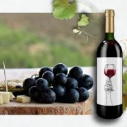 Degustacja win od Gerard Bertrand - Francja, Langwedocja