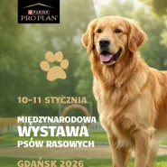 Międzynarodowa Wystawa Psów Rasowych