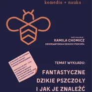 Fun Fact | Fantastyczne dzikie pszczoły i jak je znaleźć | komedia + nauka